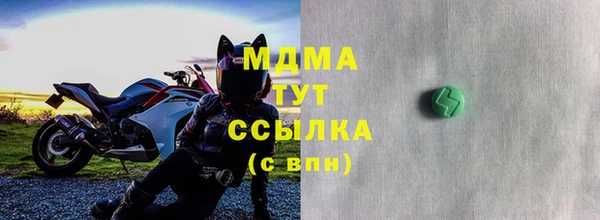 стаф Медногорск