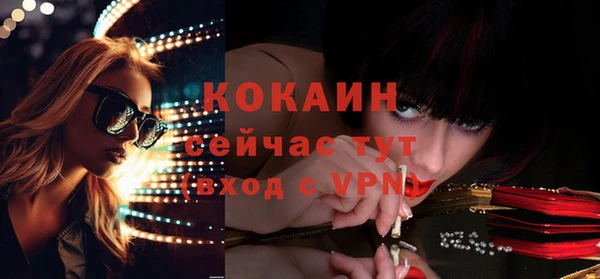 крисы Мегион