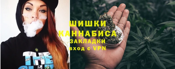 стаф Медногорск