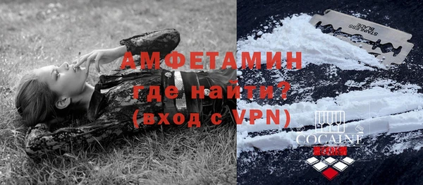 крисы Мегион