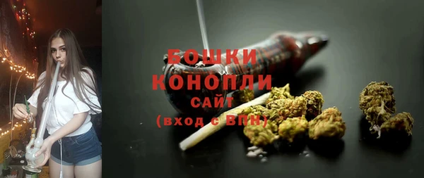 крисы Мегион
