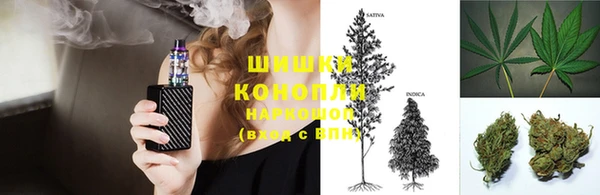 крисы Мегион