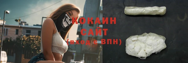 крисы Мегион