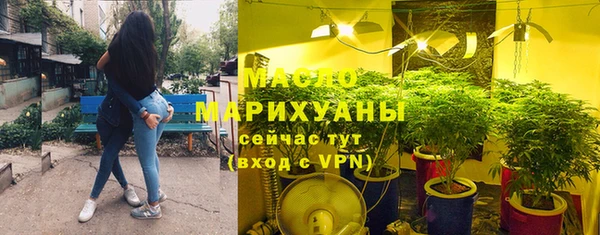 стаф Медногорск