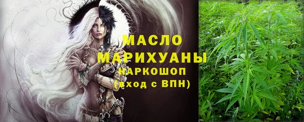 крисы Мегион