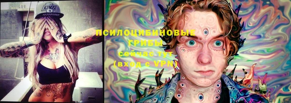 крисы Мегион