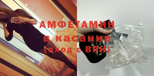 стаф Медногорск
