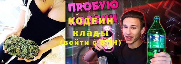 стаф Медногорск