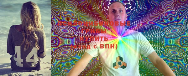 стаф Медногорск